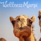 WellnessMama: Как я узнала о пользе верблюжьего молока.